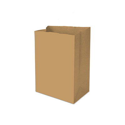 Tall Brown Paper Bag#20 - 500/Carton ( 93/32"  x 51/2" x 1' 213/32" - 26 lb)